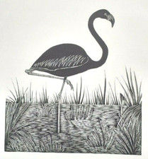 Daglish FLAMINGO DECO Print of a Woodcut Woodblock Bird Etching 1920s