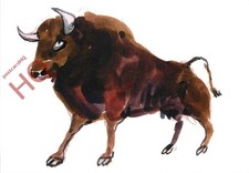 Picture Postcard:;Animal Box