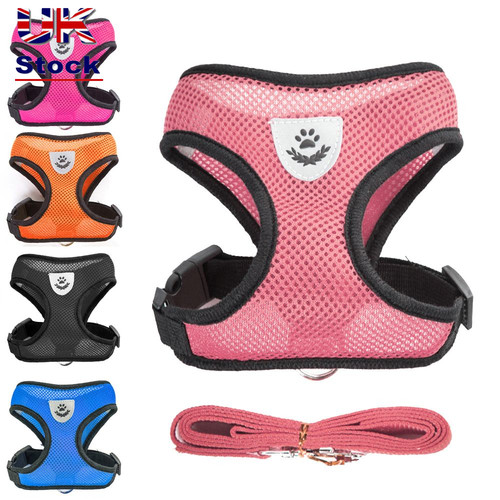 Chihuahua pug bulldog - chihuahua, mesh