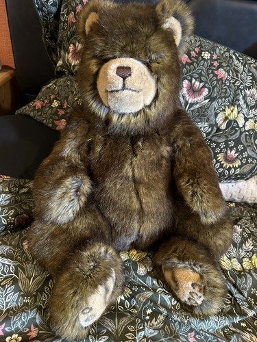 Ct08 steiff bear 069529 rare - bear,