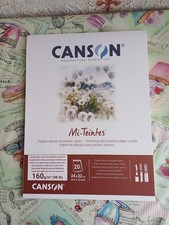 Canson Mi-Teintes drawing/Pastel Paper White  19 Sheets Unused  160gsm 24 x 32cm