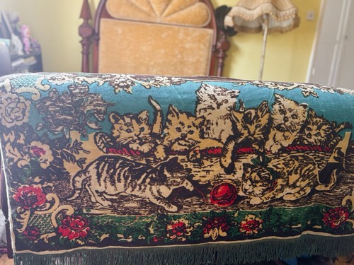 Vintage kittens velvet - vintage,