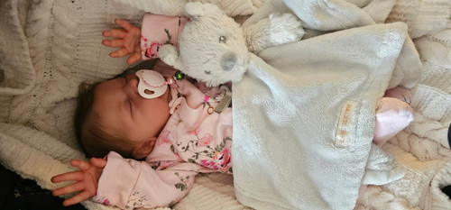 Reborn doll laura bonnie - doll,