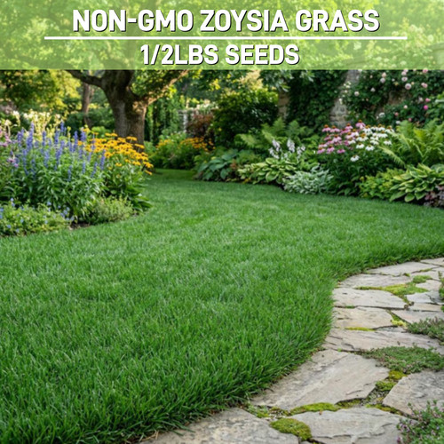 Emerald zoysia grass - emerald, seeds/