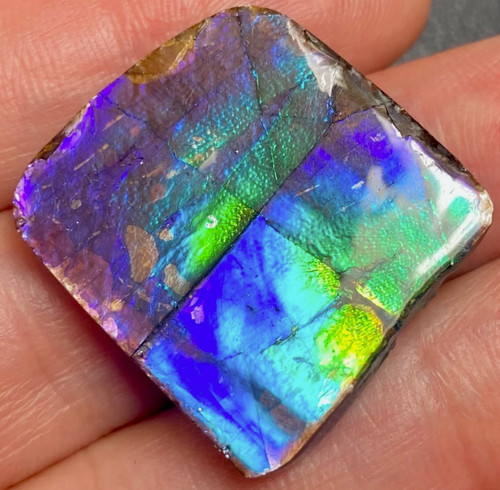 Genuine ammolite gemstones - genuine,