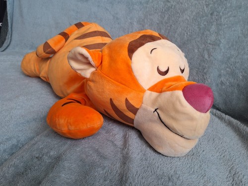 Disney winnie the - , pooh