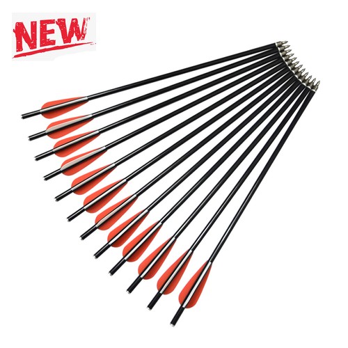 Dozen crossbow bolts - a,