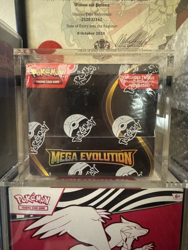 Pokemon tcg mega evolution - mega,