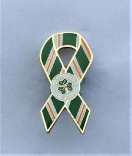 Celtic badge shield scarf - celtic, badge,
