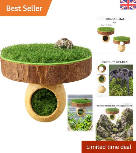 Jumping spider accessories - jumping,