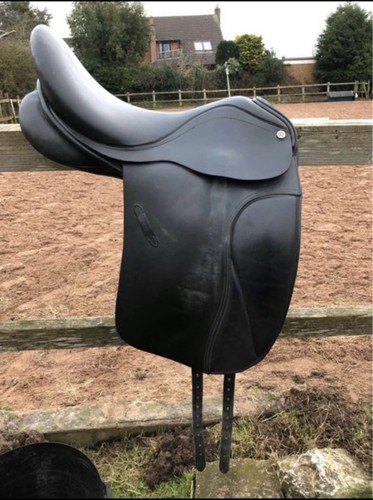 Barnsby luxus dressage - barnsby,