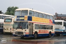 Bus Photo - Western National