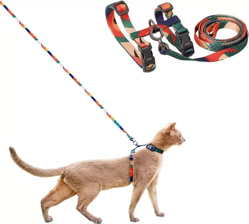 Cat harness leash set - set, escape