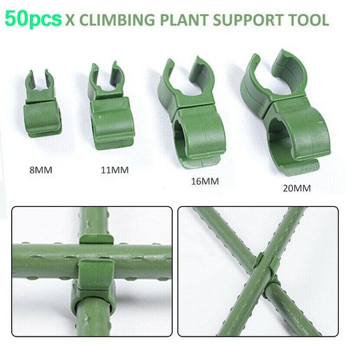 50pcs bamboo cane flexi - 50pcs,