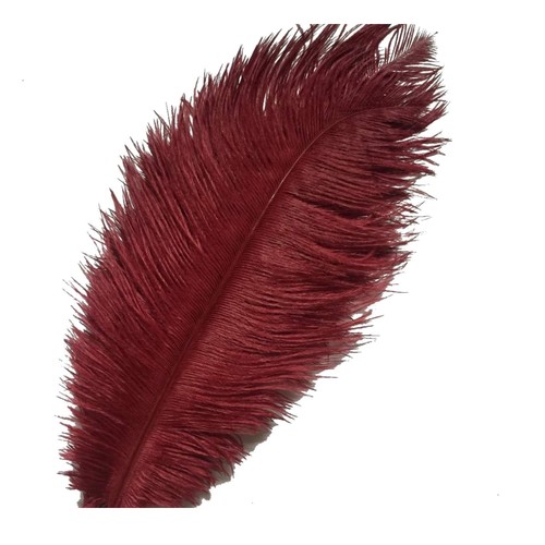 10pcs burgundy ostrich - burgundy,