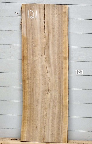 Elm live edge timber - live,