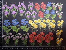 30 colourful assorted flower