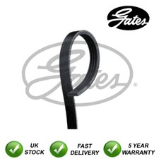 Gates ribbed belts fits ford - belts,