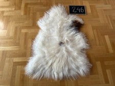 Luxurious XXXL Icelandic