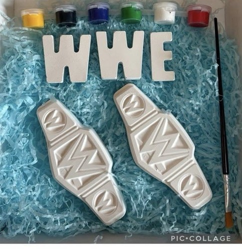 Paint your own wwe - own, wrestling