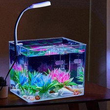 Rectangular fish tank w - fish, 2.5l