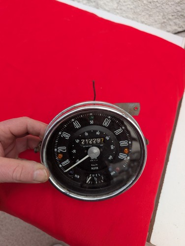 Classic mini speedo - mini,