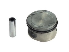 Piston Mahle 011 69 02