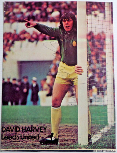 David harvey leeds - harvey,