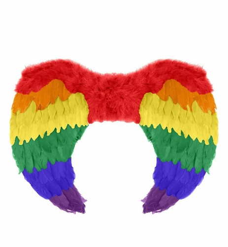 Rainbow feather angel wings - rainbow,