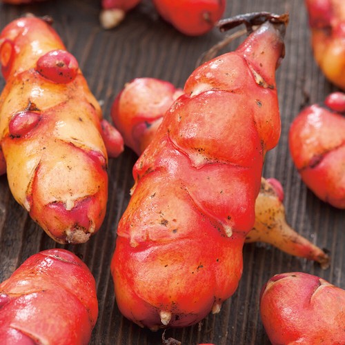 New zealand yam - yam, oca