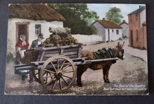 Vintage Postcard, Irish Donkey