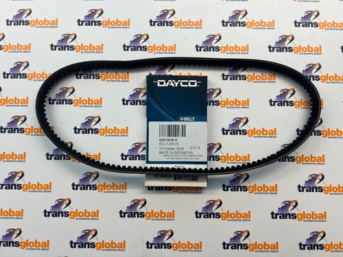 Alternator drive belt - drive,