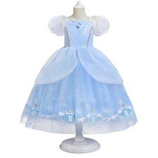 Kid Girl Cinderella Princess