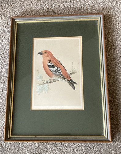 Vintage framed print two - vintage,
