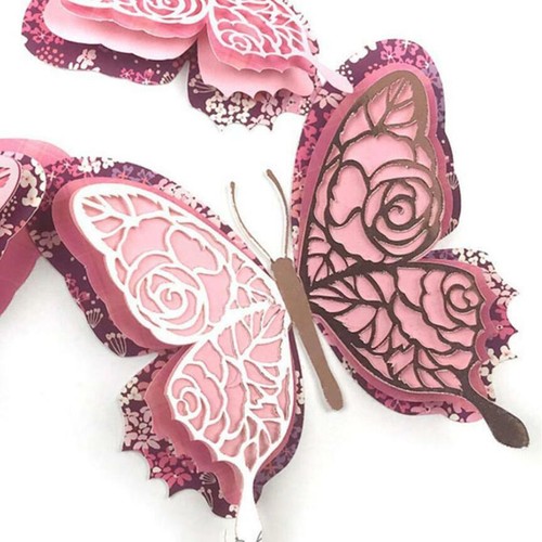 Lace flower butterfly - flower,