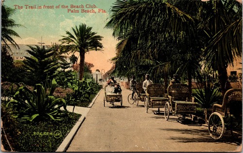 Vintage postcard palm beach - vintage,