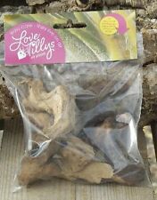 BARK CHIPPINGS Pieces Tillandsia Air plant - reindeer moss airplant mount mopani