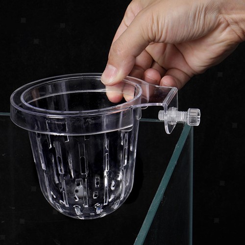 Aquarium plant holder fish - aquarium,