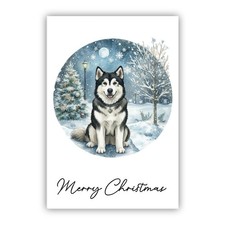 Alaskan Malamute Christmas