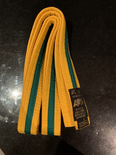 Martial arts taekwondo - martial, judo