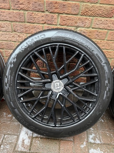 Wolfrace venom gloss - 18”,