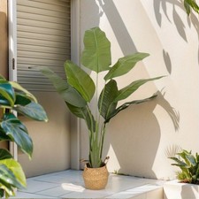 1.8m 6ft Extra Large Artificial Banana Tree Fake Tropical Plant In Pot UV Stable