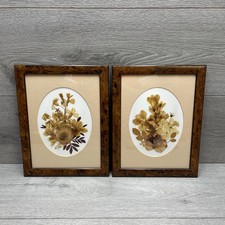 2 x Vintage Pressed Dried