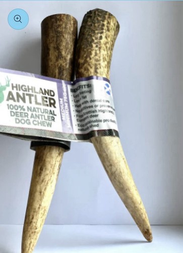 Highland antler medium natural - highland,