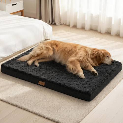 Large orthopedic dog - orthopedic,