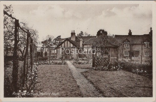 Hertfordshire postcard rose - hertfordshire, postcard: