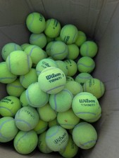 78 Wilson Triniti CLUB Tennis