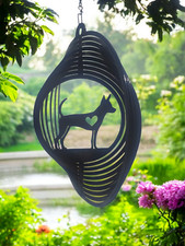 Russian Toy Terrier Wind