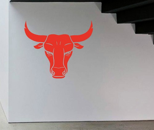 Spanish bull head vinyl - head, wall