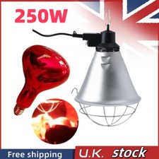 250W INFRARED HEAT LAMP
